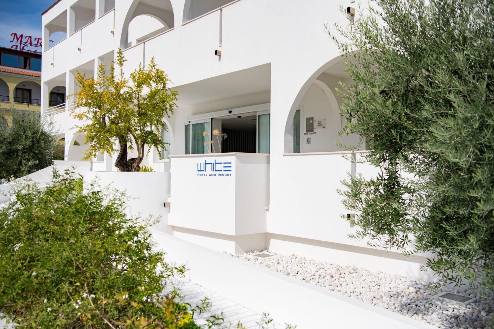 Hotel White